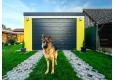 GARDEON® Garage mit Hörmann Garagentor und zwei Fenstern
