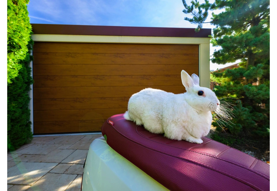 GARDEON® Garage mit Hörmann Garagentor und zwei Fenstern