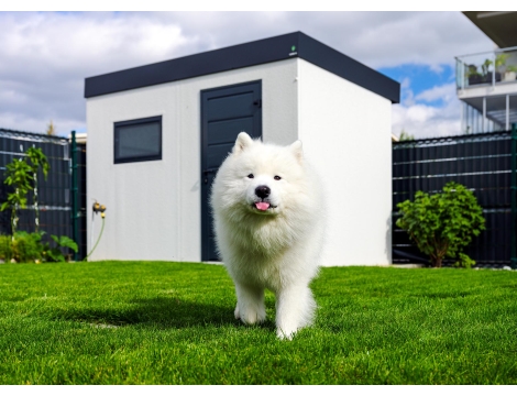 GARDEON® Gartenhaus mit Hörmann-Tür und Fenster GARDEON® Gartenhaus mit Hörmann-Tür und Fenster