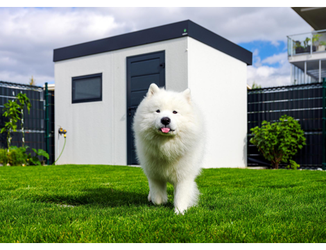 GARDEON® Gartenhaus mit Hörmann-Tür und Fenster